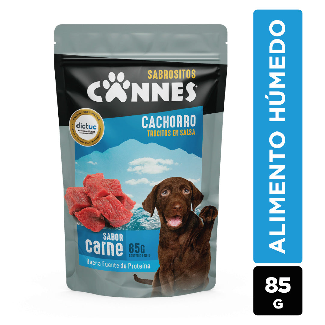Pack X12 Alimento Húmedo Cachorro Cannes Carne 85g