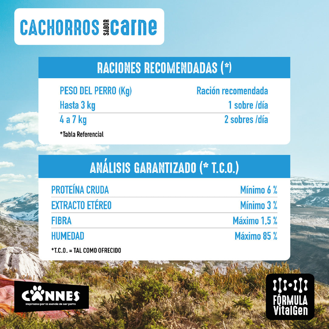 Pack X12 Alimento Húmedo Cachorro Cannes Carne 85g