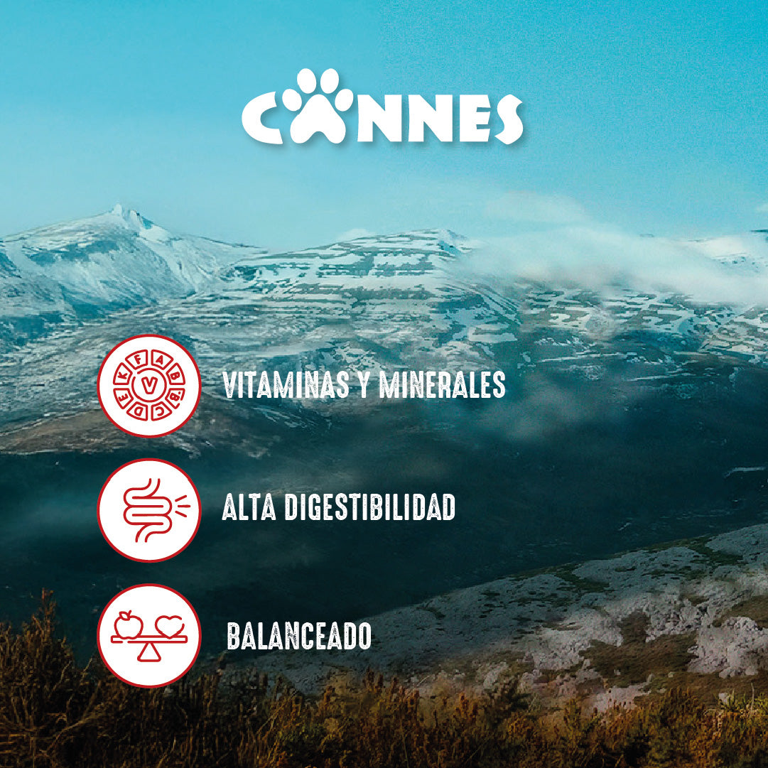 Pack X12 Alimento Húmedo Cachorro Cannes Carne 85g