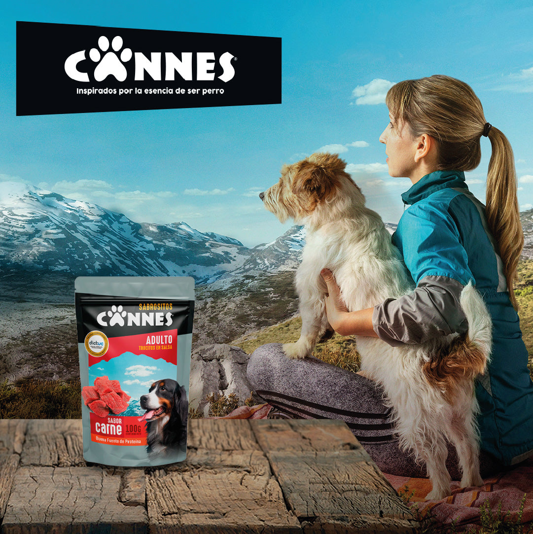 Pack X12 Alimento Húmedo Perro Cannes Sabor Carne 100g