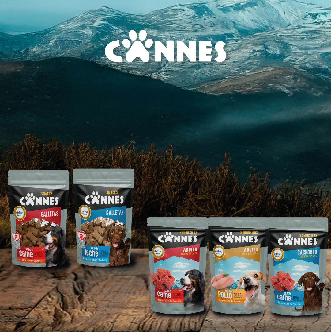 Pack X12 Alimento Húmedo Perro Cannes Sabor Carne 100g