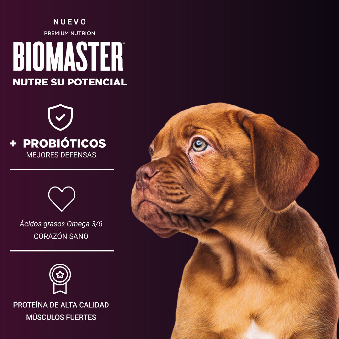 Alimento Premiuim Perro Cachorro Biomaster Carne 3 Kg