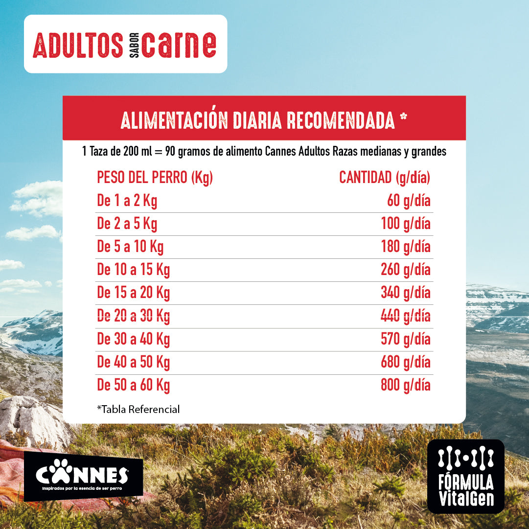 Alimento Perro Adulto Cannes Carne y Cereales 18 Kg