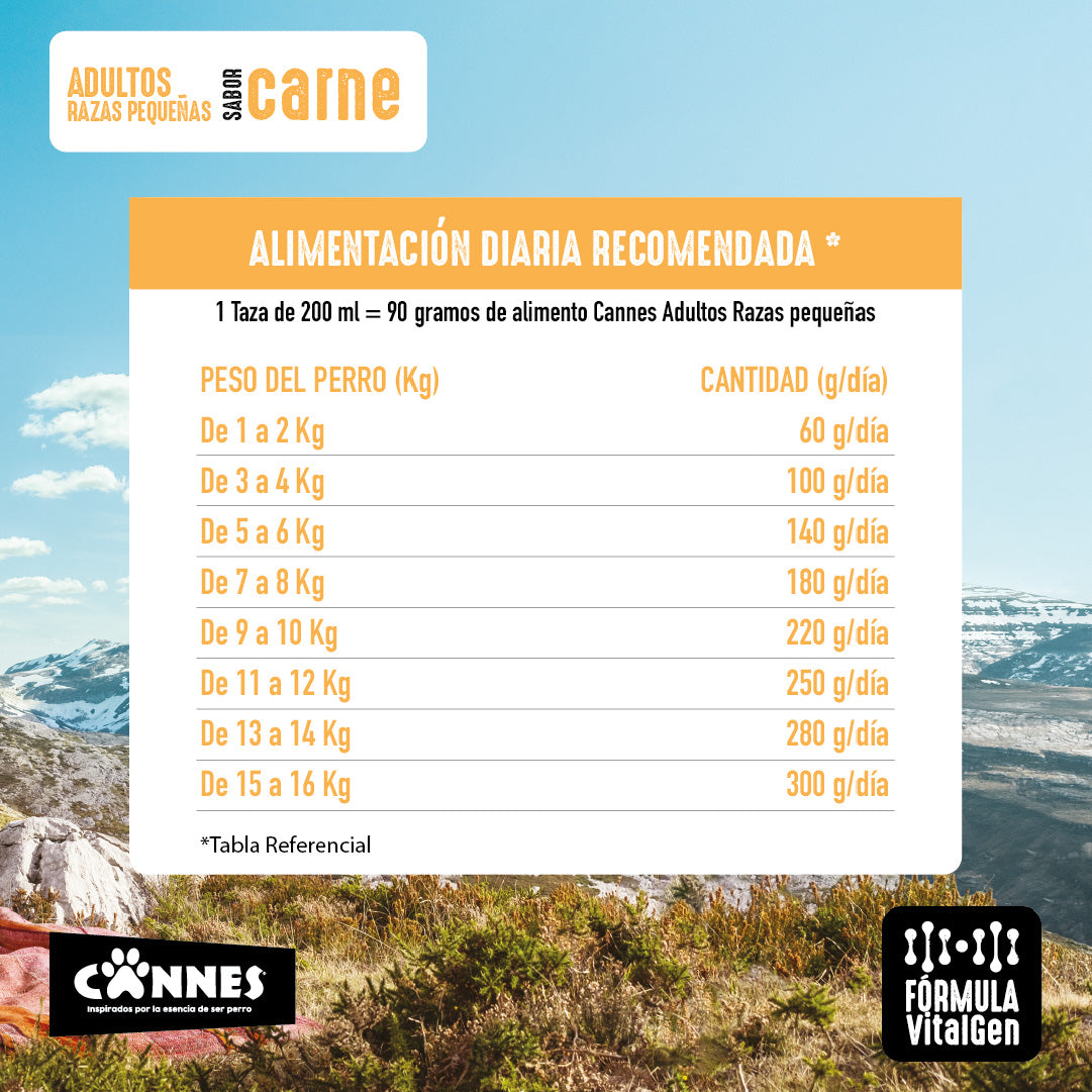 Alimento perro razas pequeñas Carne Pack 6x3kg