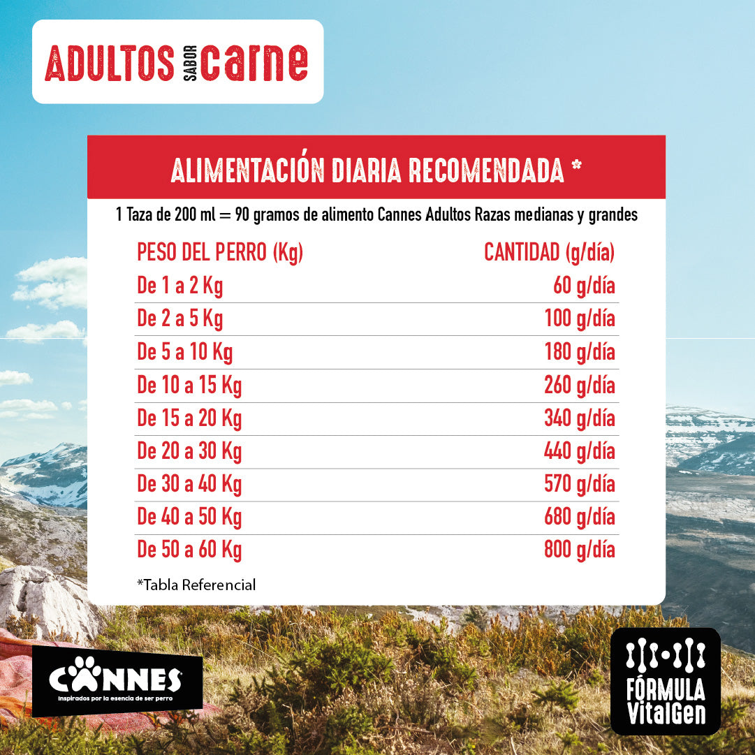 Alimento Perro Adulto Cannes Carne y Cereales 15 Kg