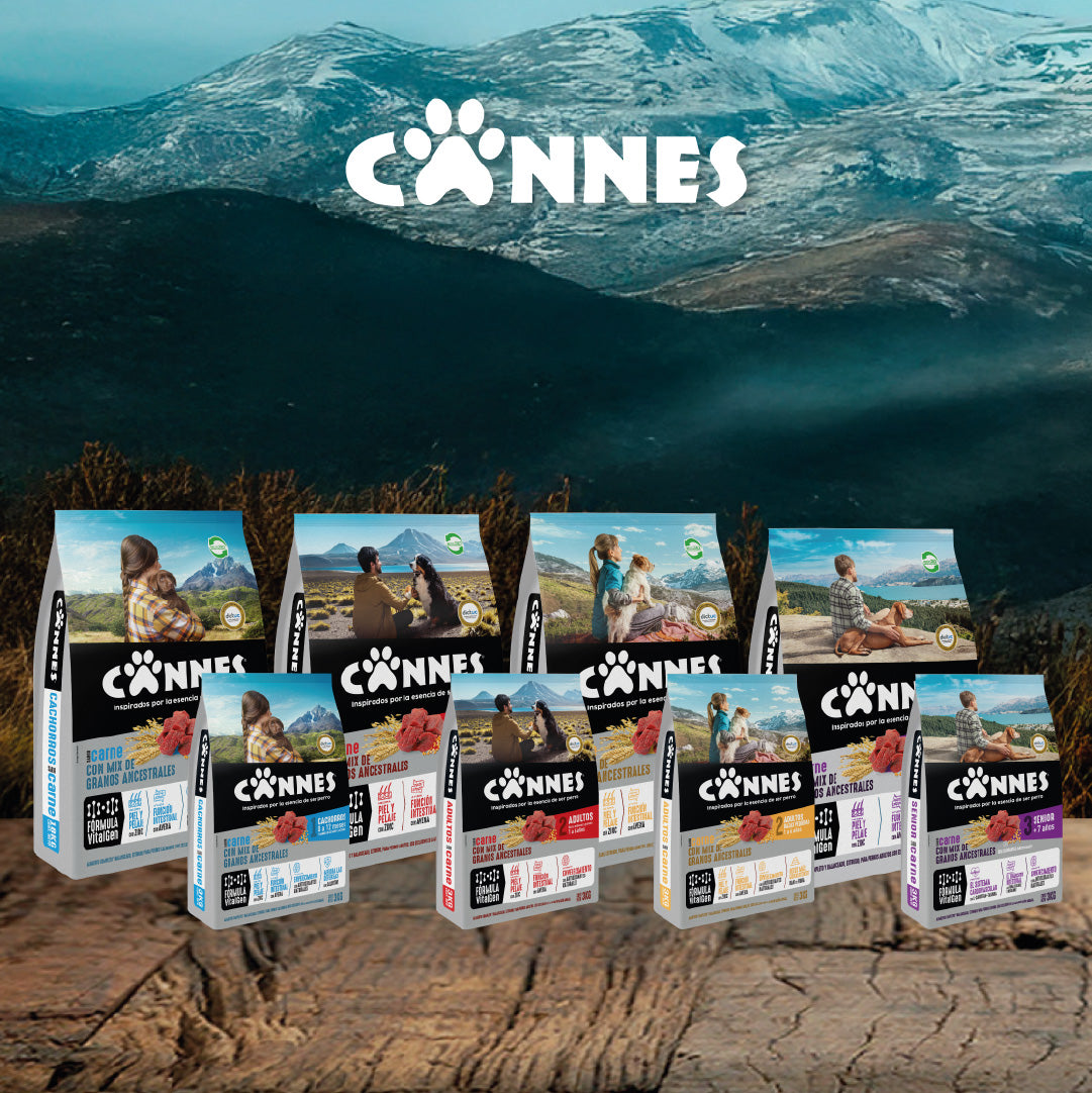 Alimento Perro Adulto Cannes Carne y Cereales 15 Kg