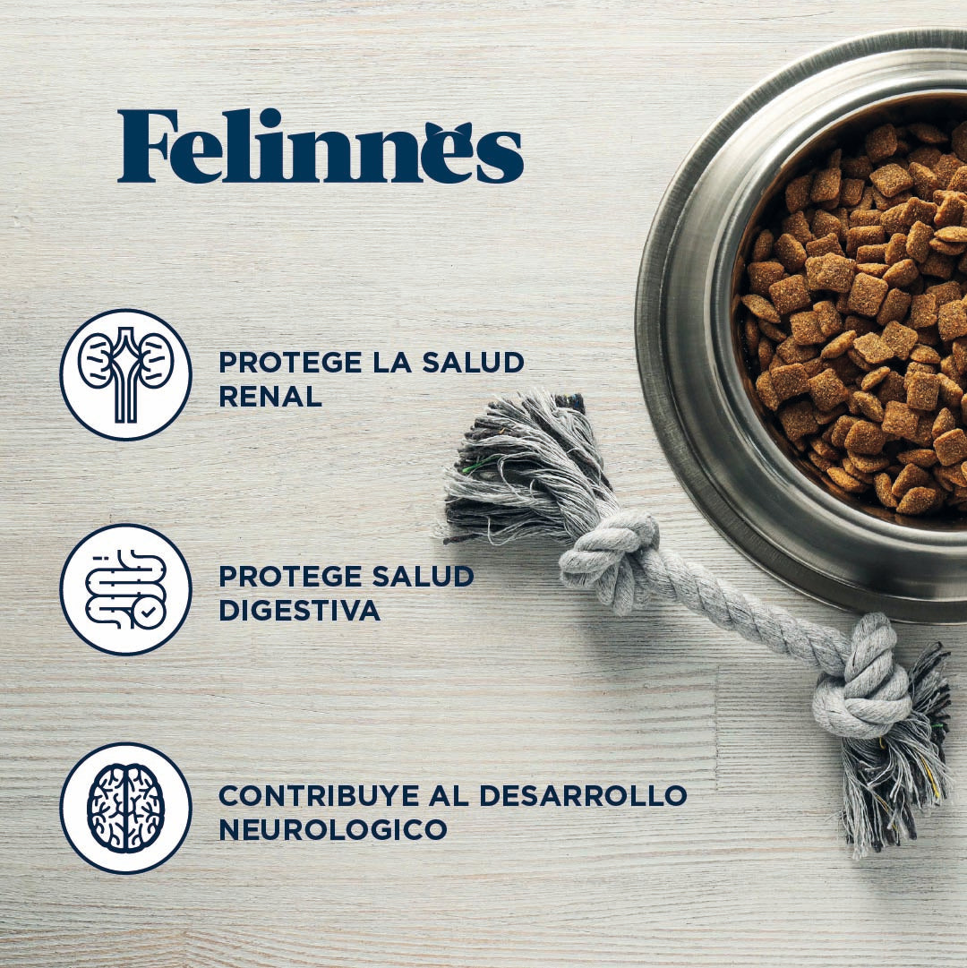 Alimento Gato Adulto Felinnes Salmón 1 Kg