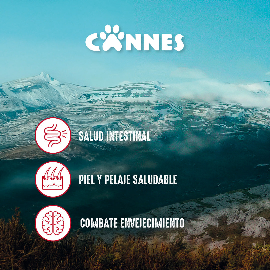 Alimento perro razas pequeñas Carne Pack 6x3kg