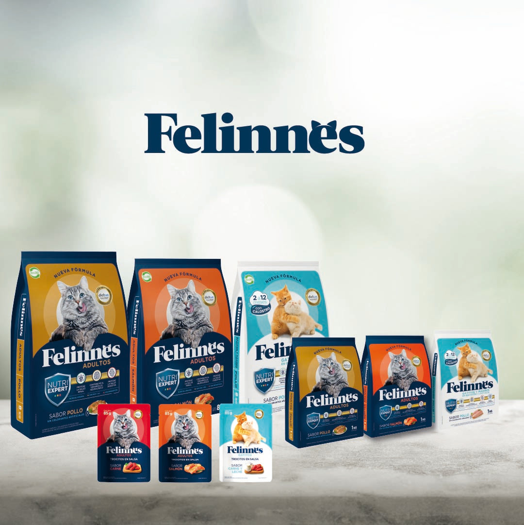 Alimento Gato Adulto Felinnes Salmón 1 Kg