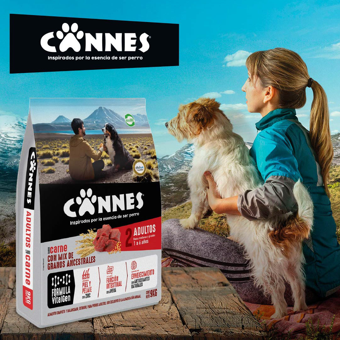 Alimento perro adulto sabor Carne 9kg