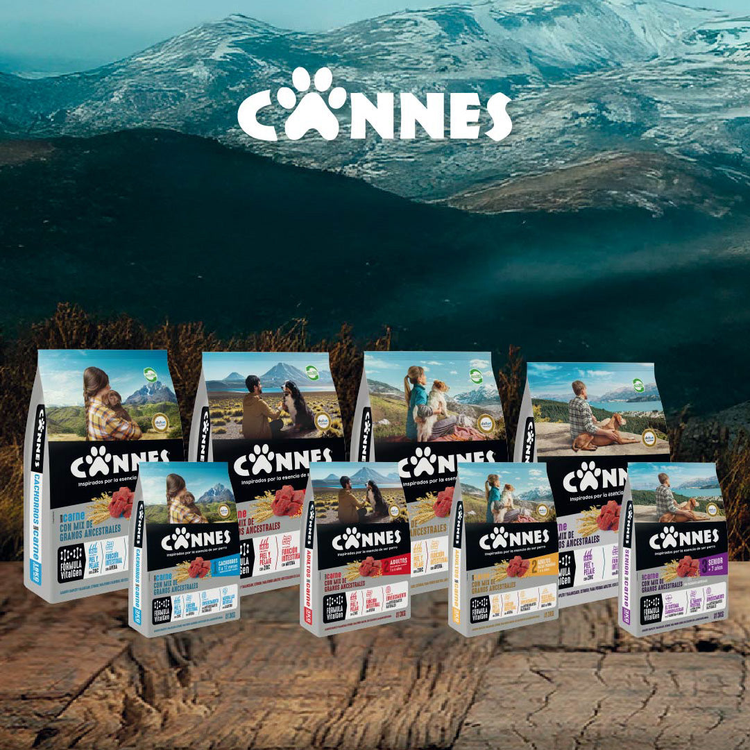 Alimento perro adulto sabor Carne 9kg