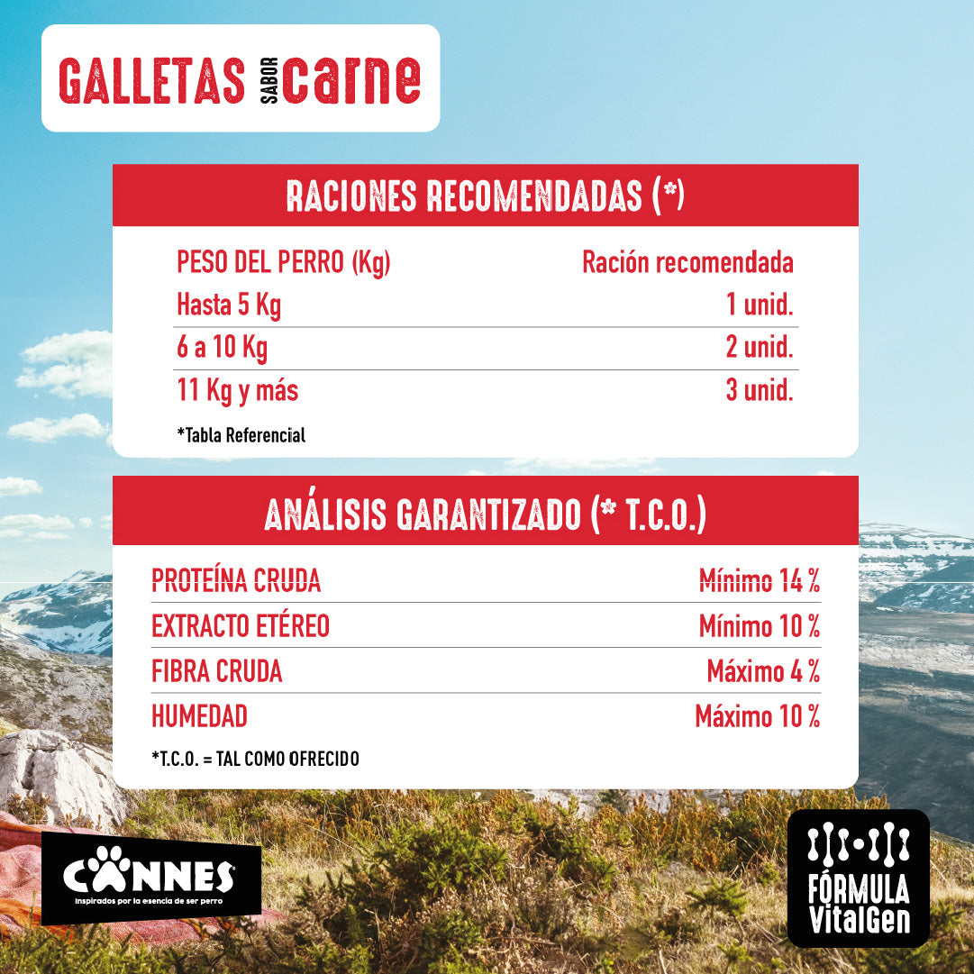 Galletas perro sabor Carne Pack 12x450g