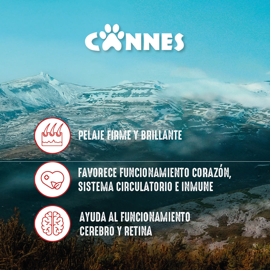 Galletas perro sabor Carne Pack 12x450g