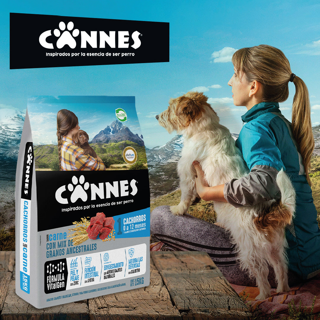 Alimento perro cachorro sabor Carne 15kg