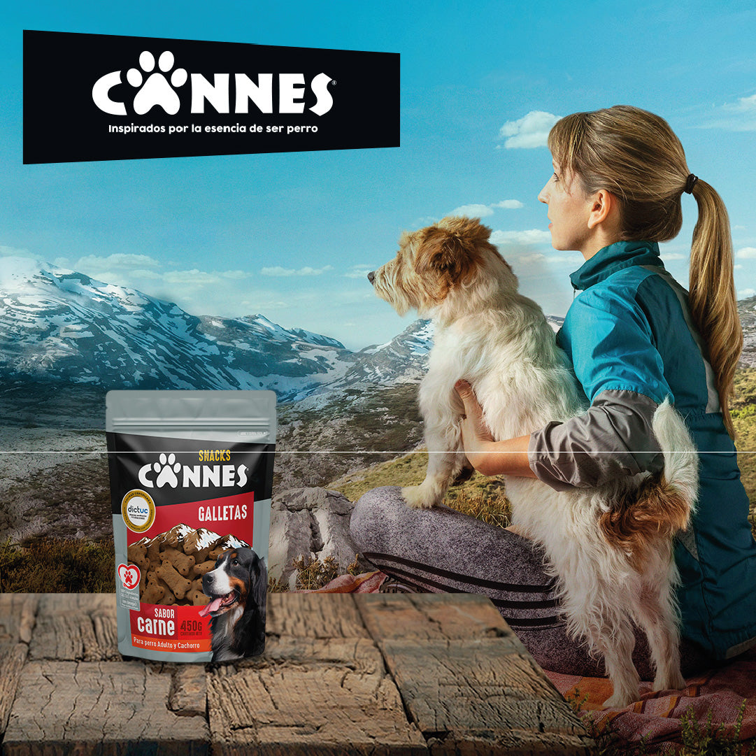 Galletas perro sabor Carne Pack 12x450g