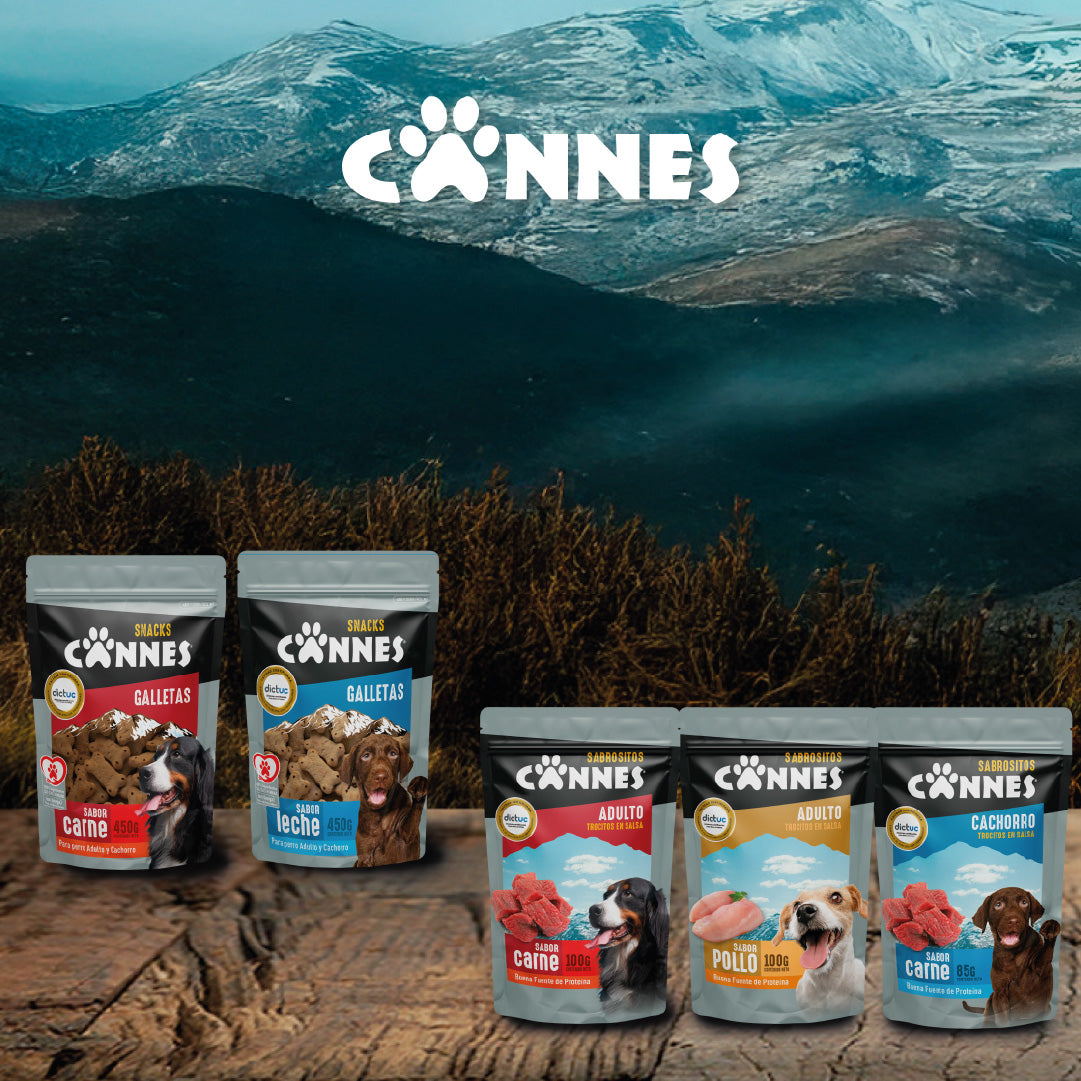 Galletas perro sabor Carne Pack 12x450g