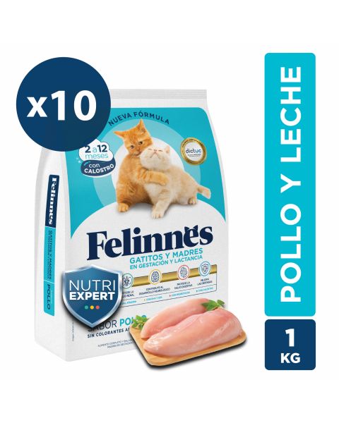 Alimento gatitos sabor Pollo Pack 10x1kg