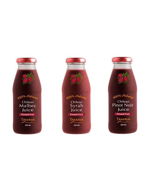 Jugo Variedades Botella Pack 12x250ml