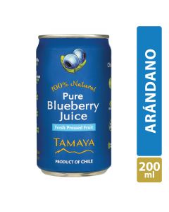 Jugo Arándano lata 200ml