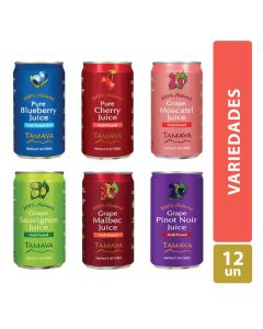 Jugo Variedades Lata Pack 12x200ml